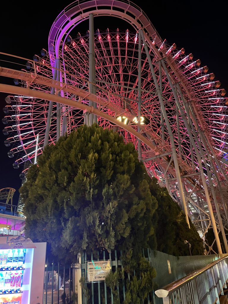 MRM 2025 に参加しました